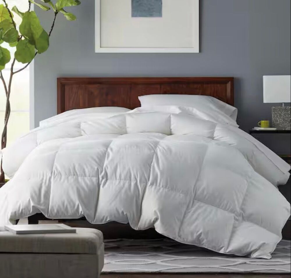 Company Store Legends Hotel Alberta Down Light Warmth Comforter - White Full